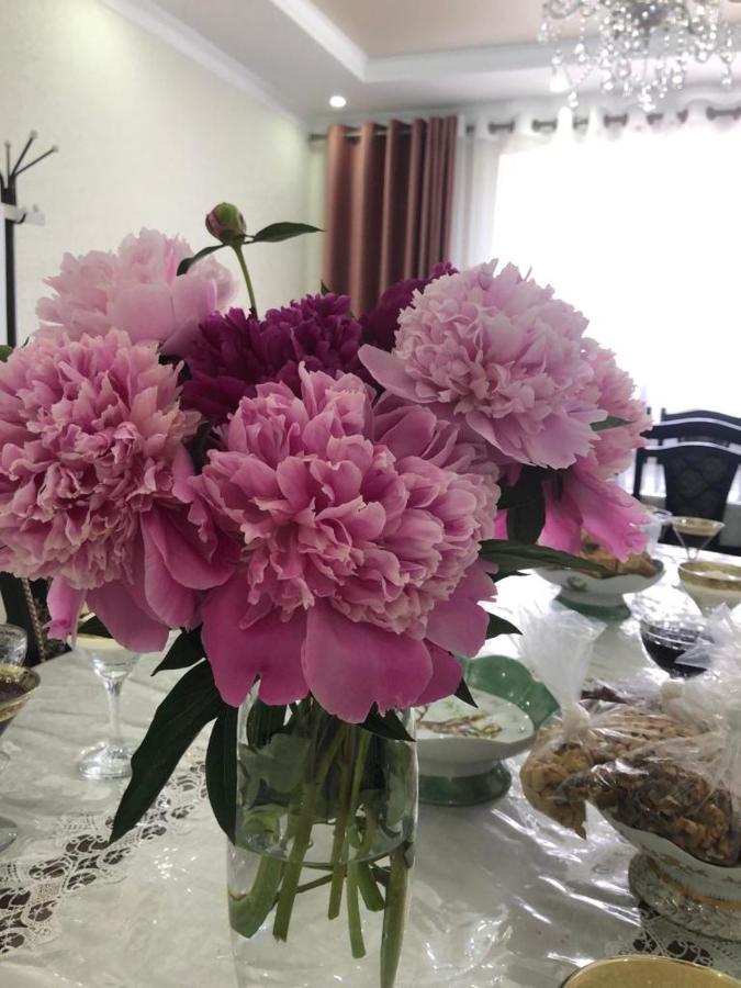Guest House Semetei Bokonbayevo 외부 사진